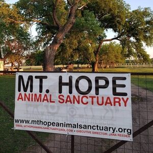 Mount Hope animal sanctuary
